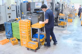 Vietnamese employees in RoK highly regarded