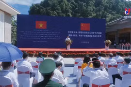Vietnam-China specialized freight transport route opens