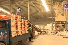 Vietnam to set new record in rice exports in 2024