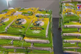 Vietnamese premium rice enters Canadian market