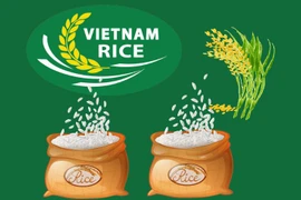 Rice exports up 32% in H1