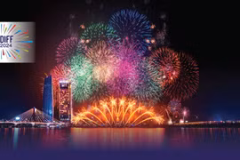 Int'l fireworks festival takes place in Da Nang