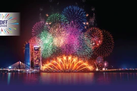 Int'l fireworks festival takes place in Da Nang