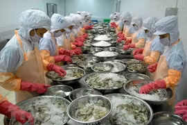 Vietnam’s fishery exports expected to hit 10 billion USD in 2024