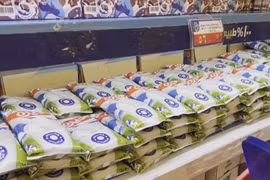 Halal market in MENA offers opportunities for Vietnamese firms