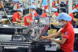 IMF forecasts Vietnam's economic growth to reach 6.1 % in 2024