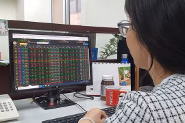 An investor watches stock movements on her computer. (Photo: VNA) 