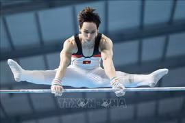 Athlete Dinh Phuong Thanh (Photo: VNA)