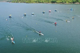 Illustrative photo (Photo: VNA)