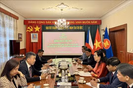 The delegation from the northern province of Ha Nam hold a working session with the Vietnamese Embassy in the Czech Republic. (Photo: published by VNA)