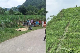 The scene of the accident. (Photo: VNA)