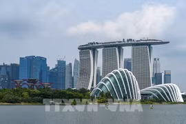 Singapore tops the global ranking that tracks the effectiveness of more than 100 governments around the world for the second consecutive year. (Photo: VNA broadcasts)