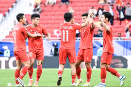 Illustrative photo (Photo: vff.org.vn)