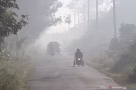 Indonesia: forest fires sear through 30,477 hectares 