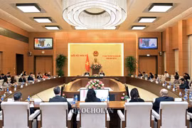 US-ASEAN Business Council bridges US firms and Vietnam: official 