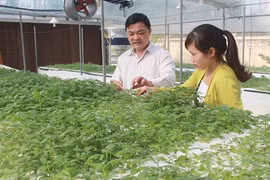 Bac Giang promotes technology transfer in agricultural production