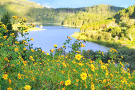 A flower space in Da Lat attracts visitors (Photo: Vietnamplus)