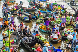 Adjustments to Mekong Delta master plan approved
