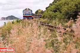 Travelling along Vietnam on rolling train wheels