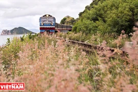 Travelling along Vietnam on rolling train wheels