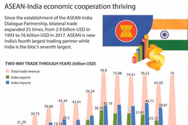 ASEAN-India economic cooperation thriving