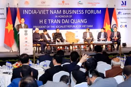 Vietnam wants deeper investment cooperation with India: President