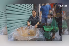 Vietnamese celebrate Doan Ngo festival