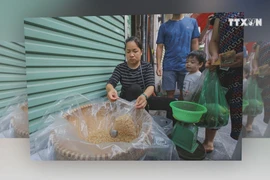 Vietnamese celebrate Doan Ngo festival