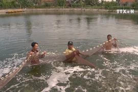 Nghe An invests in VietGAP standard shrimp breeding area