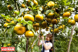 Mekong Delta - ideal travel destination