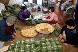 Traditional village makes about 468,600 Chung cakes before Tet