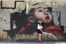 Mural paintings give Hue's old walls new look
