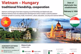 Vietnam – Hungary traditional friendship, cooperation