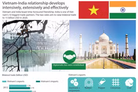 Vietnam-India relationship develops effectively 