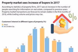 Property market sees increase of buyers in 2017 