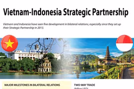 Vietnam-Indonesia Strategic Partnership
