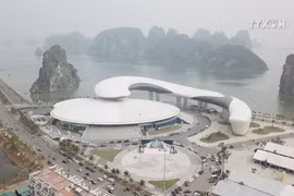 Ha Long aims to turn into international tourism hub