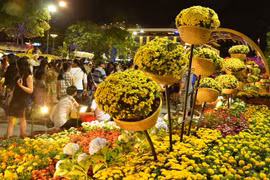 HCM City’s flower street ready for Tet