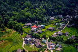Stunning view of Ha Giang’s natural landscapes in summer 