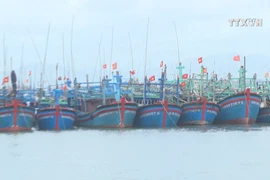 Efforts against illegal fishing