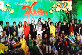 Vietnamese expats worldwide welcome traditional Tet festival