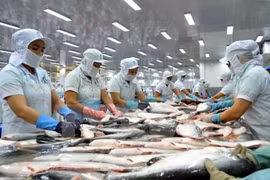 Tra fish exports surge to set new record