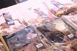 Young artist bring folk painting to life