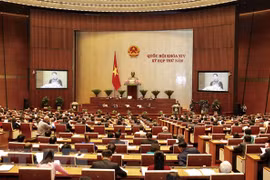 Law-making remains high on agenda of NA’s fifth session