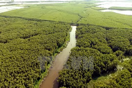 Tan Lap Floating Village - Ideal getaway in Mekong Delta