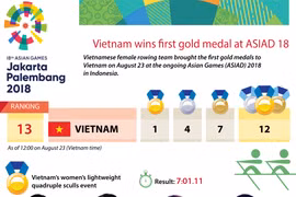 Vietnam wins first gold medal at ASIAD 18