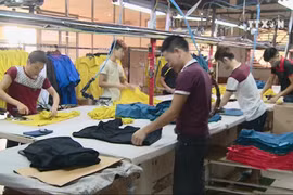 EVFTA offers equal benefits for Vietnam and EU