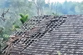 Hailstorms destroy hundreds of houses in Nghe An