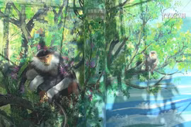 Mural paintings enlighten humble valley in Da Nang