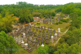 Stunning view of Bo Da ancient pagoda in Bac Giang